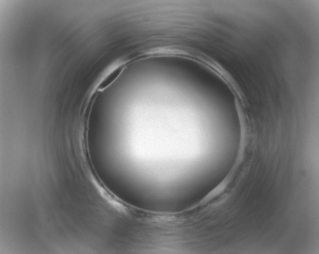 X0000082160909200701262331
