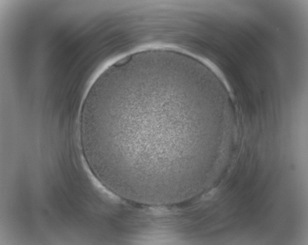 X0000082160911200701262331