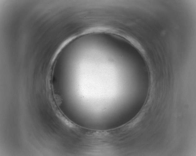 X0000082160912200701262331