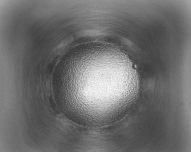 X0000082160917200701262330