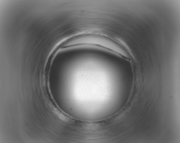 X0000082160924200701262330