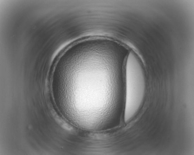 X0000082160928200701262330