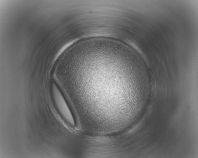 X0000082160933200701262330