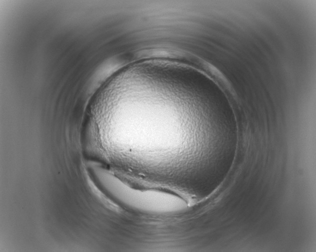 X0000082160938200701262330