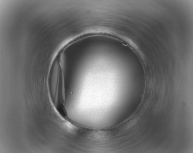 X0000082160943200701262330