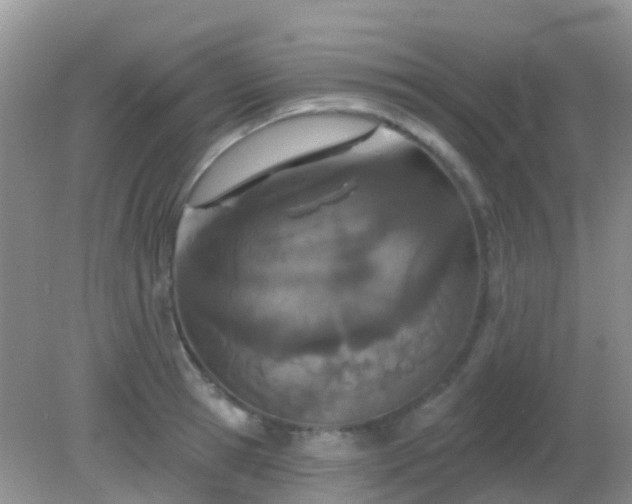 X0000082160945200701262330