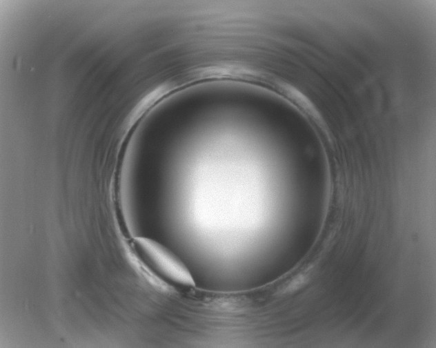 X0000082160946200701262331