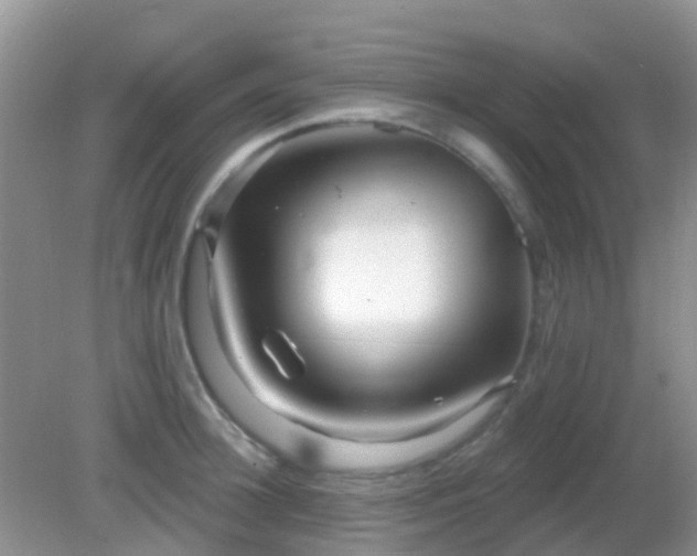 X0000082160948200701262331