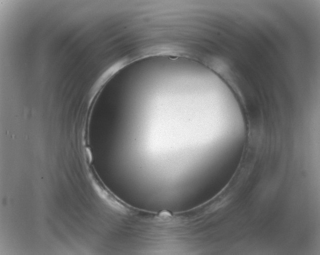 X0000082160954200701262331