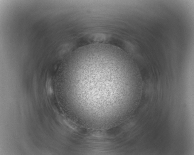 X0000082160962200701262330