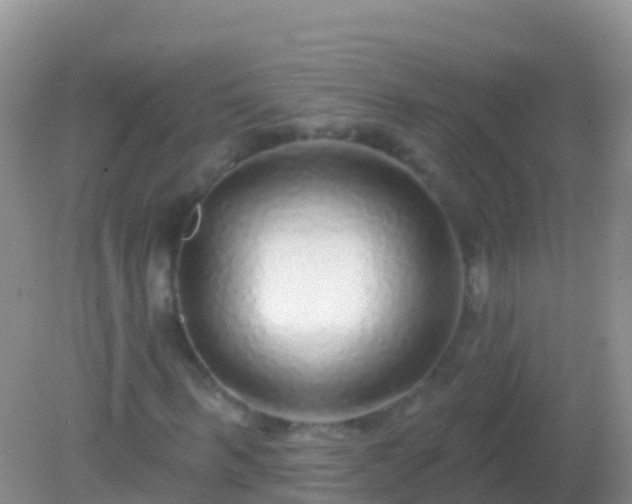 X0000082160963200701262330