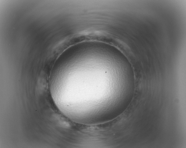 X0000082160966200701262330