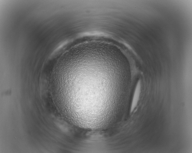 X0000082160967200701262330