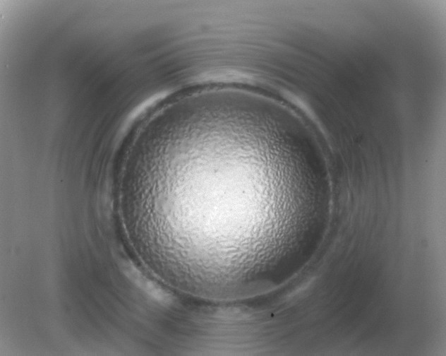X0000082160979200701262330