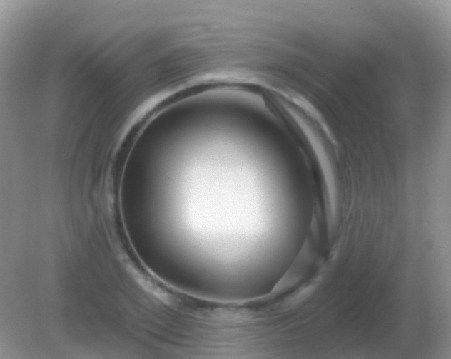 X0000082160981200701262330