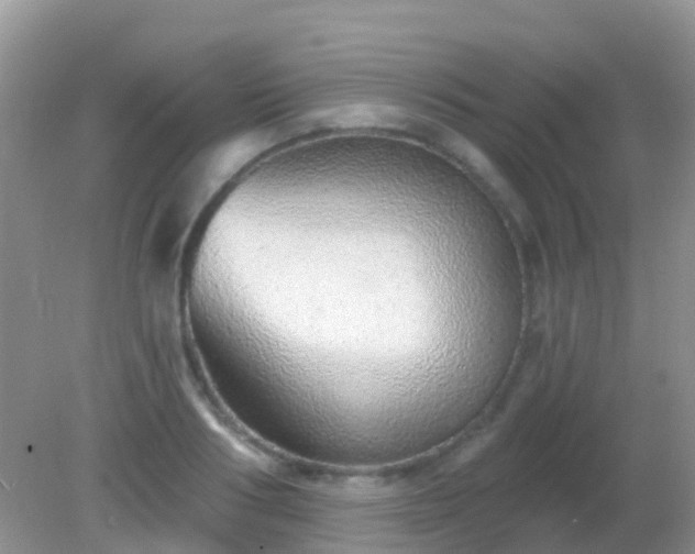 X0000082160986200701262330