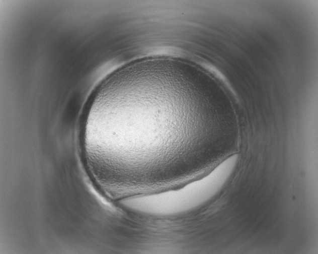 X0000082160991200701262329
