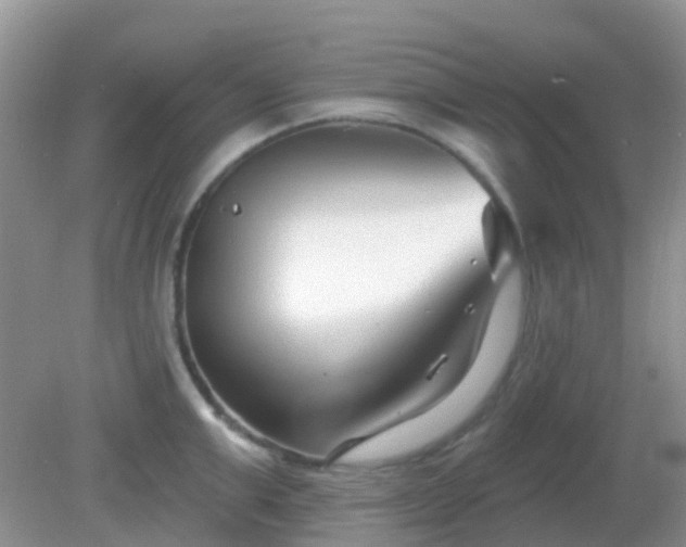 X0000082160999200701262329