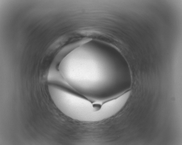X0000082161014200701262328