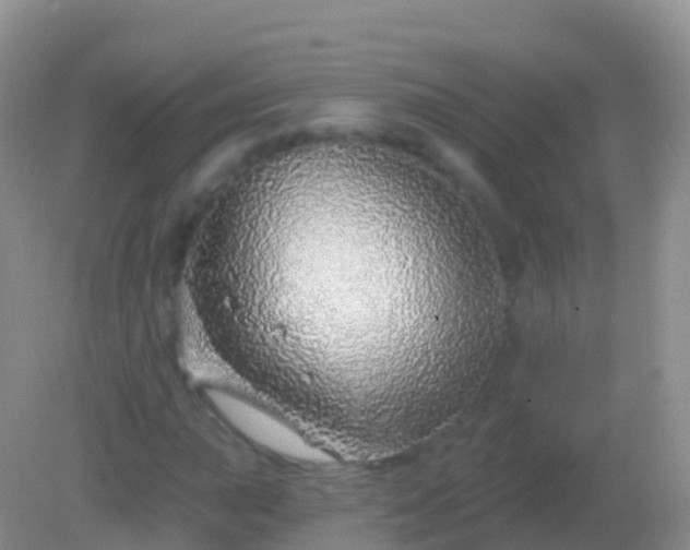 X0000082161015200701262328