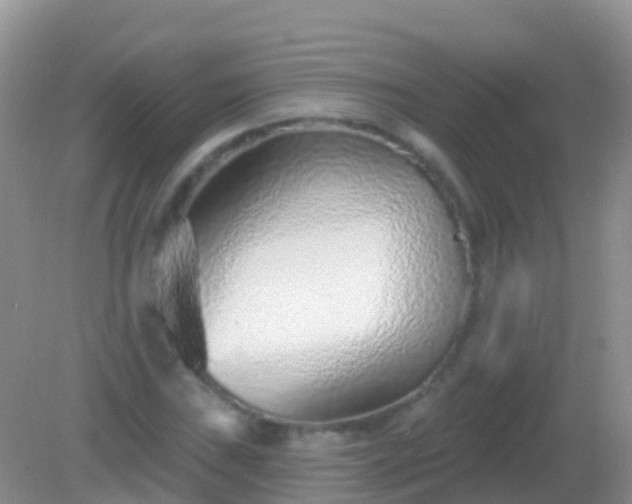 X0000082161019200701262329