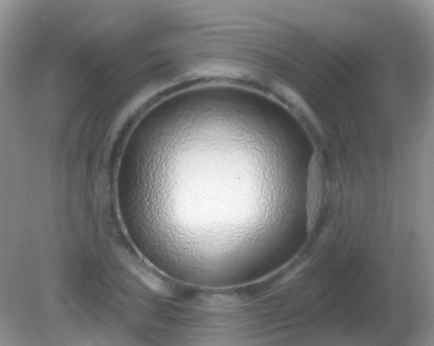 X0000082161027200701262329