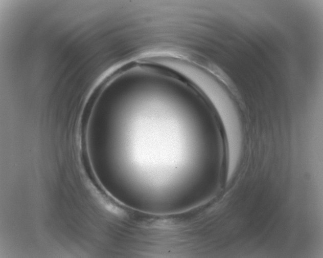 X0000082161028200701262329