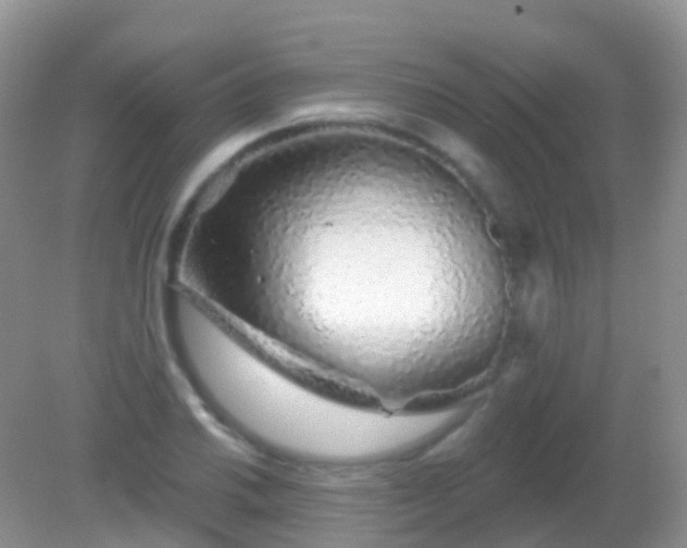 X0000082161030200701262329
