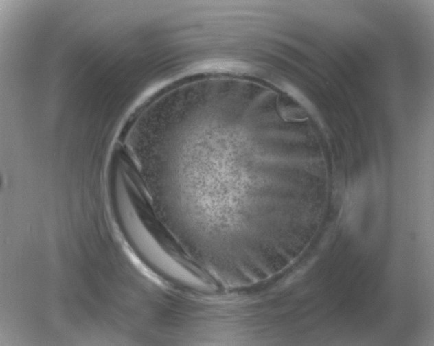 X0000082161037200701262329