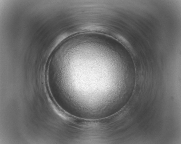 X0000082161039200701262329