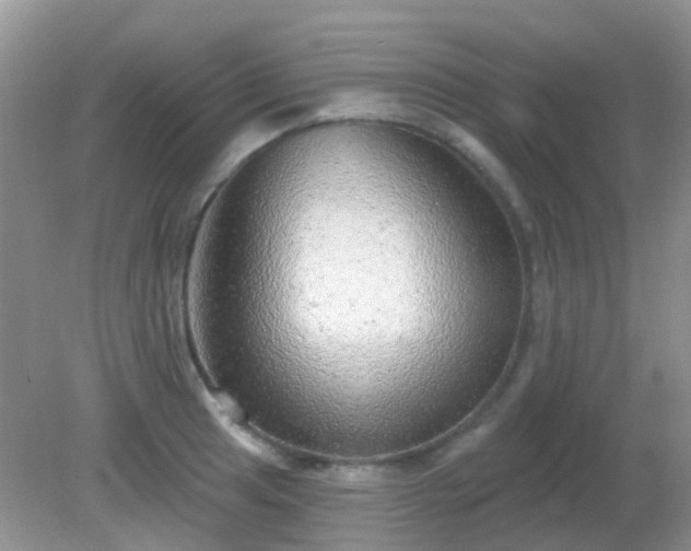 X0000082161041200701262329