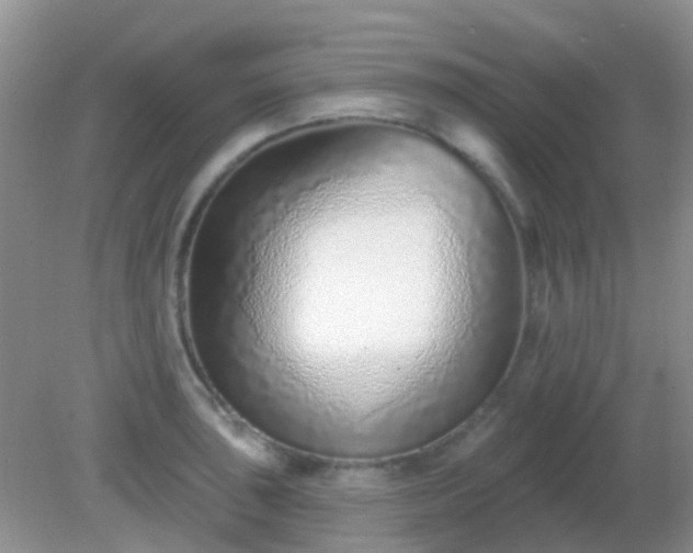 X0000082161043200701262329
