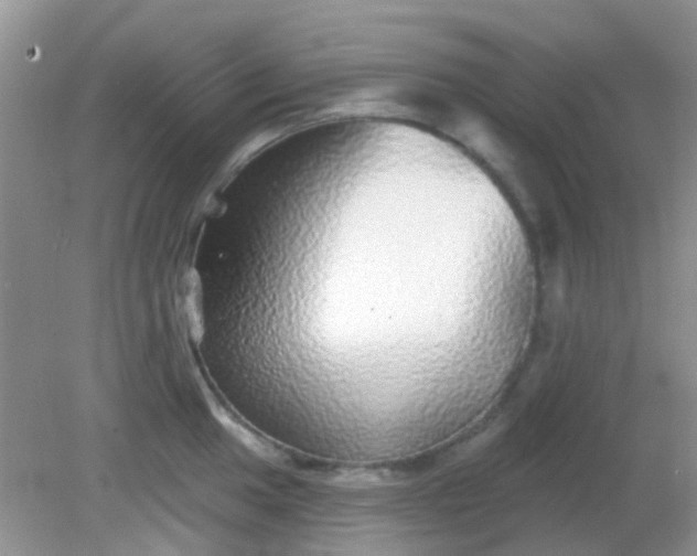 X0000082161049200701262329
