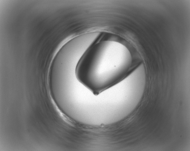 X0000082161050200701262329