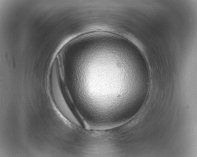 X0000082161056200701262329