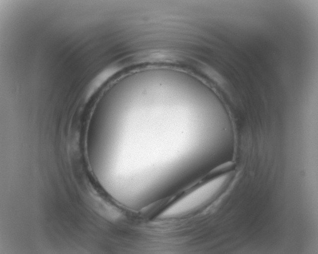 X0000082161066200701262328