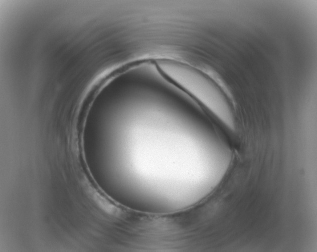 X0000082161072200701262328