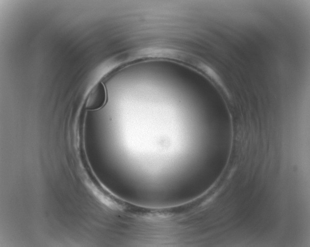 X0000082161082200701262328