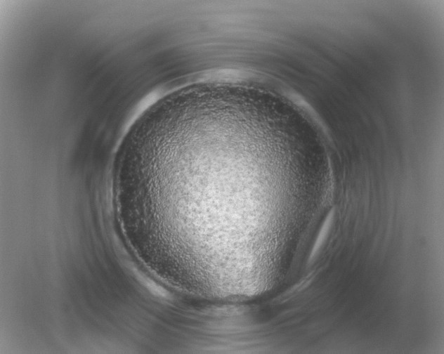 X0000082161083200701262328
