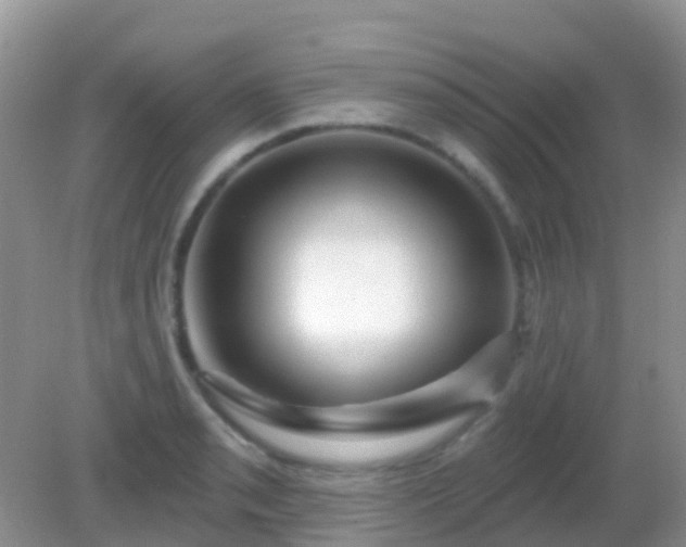 X0000082161085200701262328