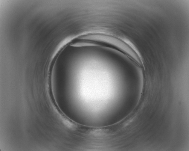 X0000082161093200701262328