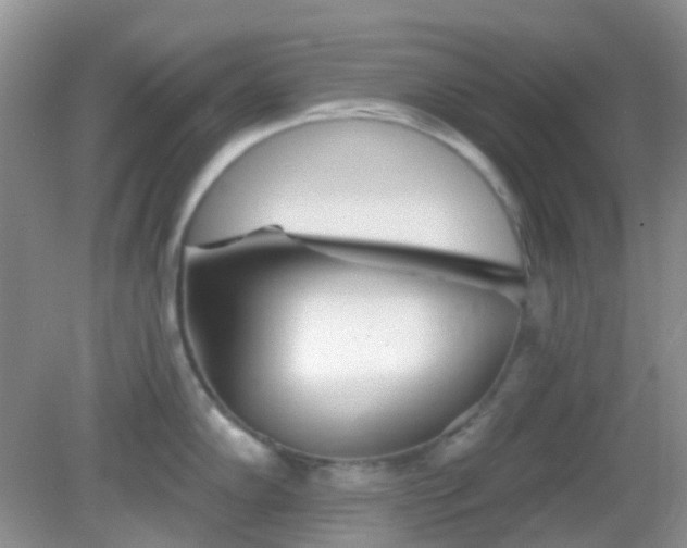 X0000082161102200701262328