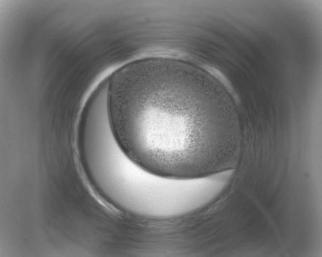 X0000082161128200701262327