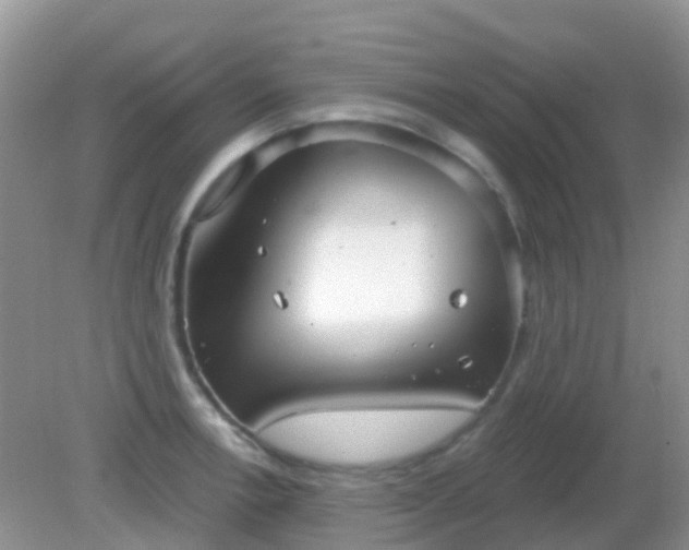 X0000082161138200701262327