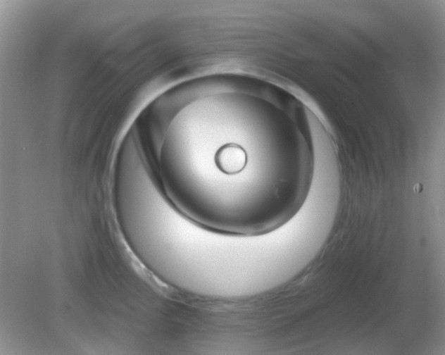 X0000082161148200701262327