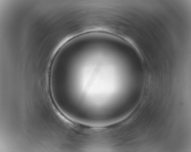 X0000082161151200701262328