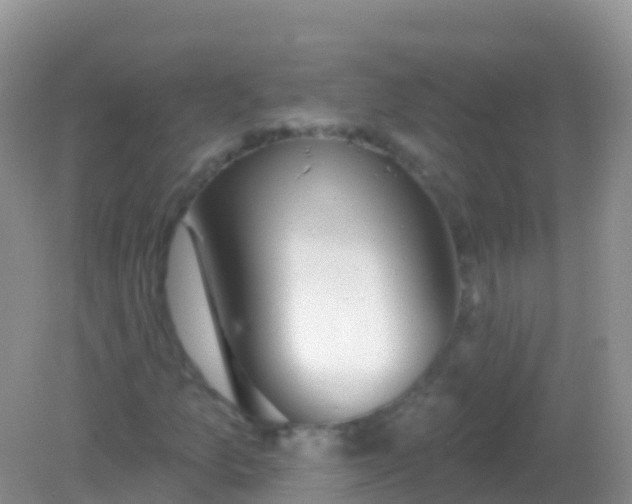 X0000082161157200701262327