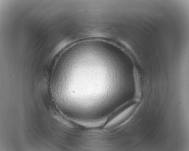 X0000082161163200701262327