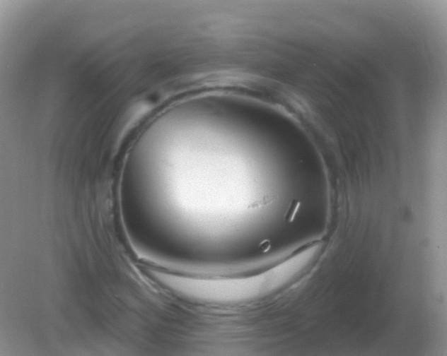 X0000082161164200701262327