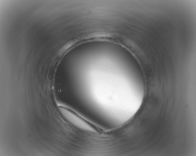 X0000082161169200701262326